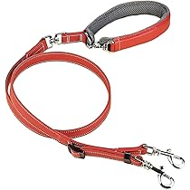 Peruvian Gold スペイン製 高級ハンドメイド犬用リード(2m) 61pbmpBmBsL._AC_UL210_SR210,