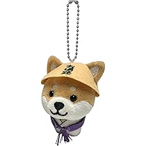 61pboqRMcYL._AC_UL210_SR210,