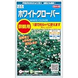 サカタのタネ 景観用ホワイトクローバー