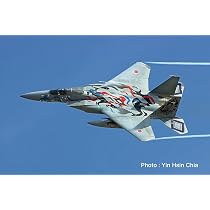 Amazon.co.jp: プラッツ 1/72 航空自衛隊 F-15J イーグル 第306飛行隊