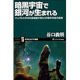 暗黒宇宙で銀河が生まれる (サイエンス・アイ新書 41)