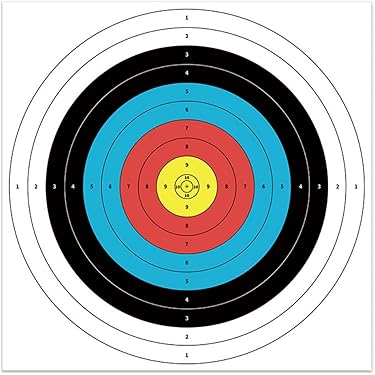 アーチェリー　セット　まとめ 美品】アーチェリー セット1式豪華セットバッグ付き 2