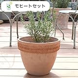 ハーブ栽培セット （ アップルミント ＆ スペアミント ）【 モヒート 用】