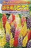 アタリヤ農園 ガーデニング用品 種 スーパーカラフルルピナスプレミアム