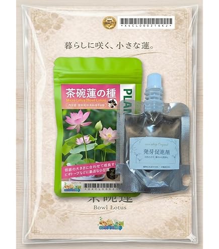 耐寒性睡蓮 ブンラクサー 温帯睡蓮 水生植物 約8cm Amazon.co.jp: 耐寒性睡蓮 ブンラクサー 温帯睡蓮 水生植物 約8cm