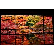 61pgu611VAL._AC_UL210_SR210,