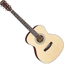 ARIA DREADNOUGHT アリア・ドレッドノートギター AF-280N ソフトケース付