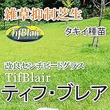 株式会社ハヤシ センチピードグラス ティフ・ブレア 芝生 (1平米)