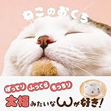 ねこのおくち