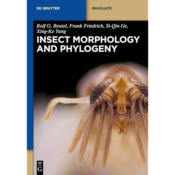 Amazon.co.jp: The Insects: Structure and Function (English