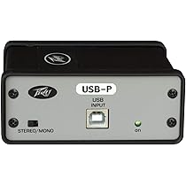 Whirlwind pcUSB USBアナログダイレクトボックス Whirlwind pcUSB 2-channel Active USB / PC Direct Box