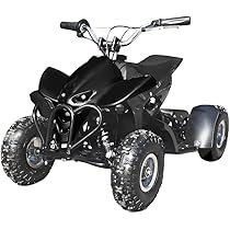 ミニ四輪バギー 50cc ポケバイ 本体 エンジン 車体 乗れる pokebagi-ao-1.jpg