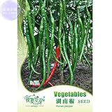 2018ホット・セールHu'nanグリーン・ロング・ホット・チリ・シード、オリジナル・パック、30種子/パック＃TS042