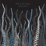 City of Echoes [12 inch Analog]