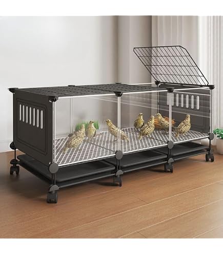 Amazon | 爬虫類飼育ケージ ホワイト SN 45 × 30 × 23cm レイアウト