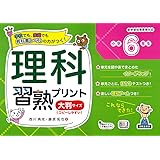 理科習熟プリント 小学３年生 大判サイズ 宮崎 彰嗣 横田 修一 本 通販 Amazon