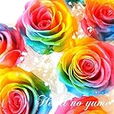 プリザーブドフラワーレインボーローズの花束　１本から本数指定可能！　枯れない夢のお花
