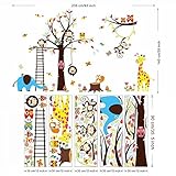 大きなツリー動物の壁のステッカー子供ルーム装飾。Monkeyフクロウ動物園漫画DIY子供ベビーホームデカール壁画アート3.0 ^ design1 1213。