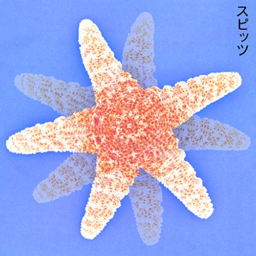 夏の魔物の歌詞 | スピッツ | オリコンニュース（ORICON NEWS）