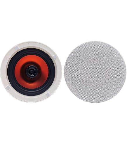 Amazon.co.jp: パナソニック ニアフィールドスピーカー10cm2ウェイ WS