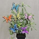 Package of 12 Assortedカラー人工Feathered Butterflies with Attachedクリップの作成の花柄Embellishing、工芸、
