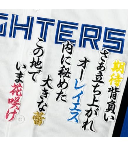 村上 選手　ヤクルト スワローズ　シルエット　刺繍ワッペン Amazon.co.jp: 東京 ヤクルト スワローズ 刺繍ワッペン 村上