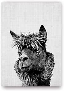 Amazon Co Jp 保育園の動物アルパカ写真壁アートキャンバスポスタープリント農場の動物白黒アート絵画写真ベビールームの装飾 40x60cmフレームなし ホーム キッチン