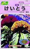 カネコ種苗 草花タネ730 けいとう とさか 10袋セット