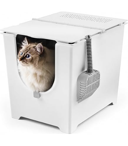 Amazon.co.jp: PetSafe ScoopFree セルフクリーニング猫用トイレ