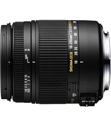 Amazon.co.jp: TAMRON 高倍率ズームレンズ AF18-200mm F3.5-6.3 XR