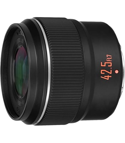 LUMIX Panasonic standard zoom lens Micro Four Thirds G VARIO 14