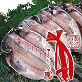 ひもの開き大会日本一優勝 丸達水産 極上の素材厳選 「鯵干物5枚セット」 創業32年 まるたつ...