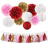 nicrolandee赤とピンクパーティー装飾キットRomance Red Heart Foil提灯パーティータッセルガーランドTissue Pom Pomsハニカムボールバレンタインのブライダルシャ