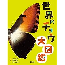 61q4JvhZJWL._AC_UL210_SR210,
