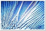 Microcrystalsのアスコルビン酸で偏光ライト用紙印刷壁アート 16in. x 24in.