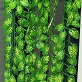 ノーブランド品　観葉植物　人工観葉植物　フェイクグリーン　ガーランド　造花　蔓　葉　アイビー　籐　インテリア　雑貨　グリーン　アーチ 装飾　飾りつけ　壁掛け　壁飾り　オウゴンカズラ　Generic A