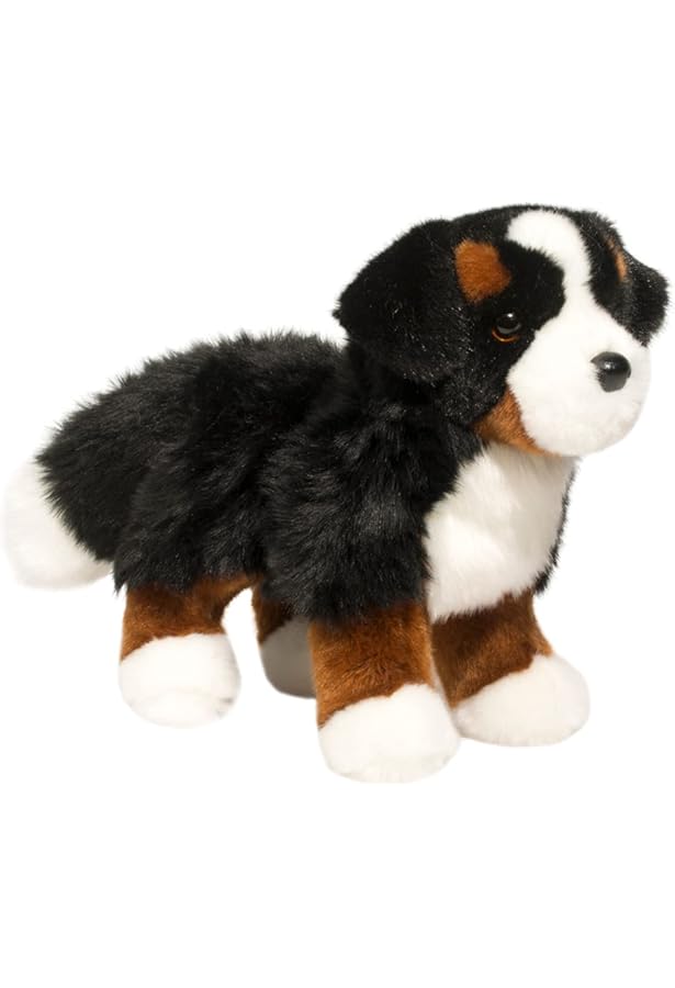 teddy bernese mountain dog