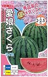 ナント種苗 愛娘さくら(すいか)
