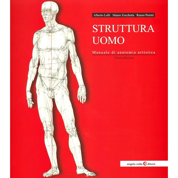 Amazon | Struttura uomo in movimento. Manuale di anatomia