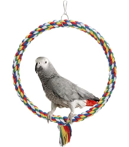 Prevue Pet Products Birkenvogel-Schaukel U-Form 22,9 Cm – Für Vogelkäfig, Kiefernholz