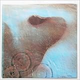 Meddle [LP]