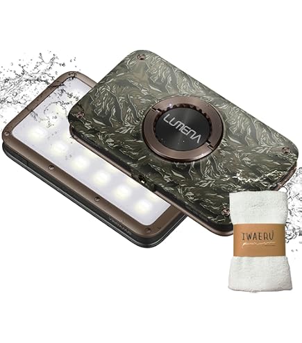 Amazon.co.jp: 【type-C】LUMENA2X ルーメナー 日本正規品＆保証書付