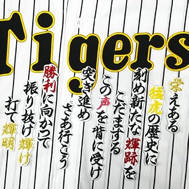 【希少】ロットLottoヴェローナ トラックトップ サッカー 刺繍ワッペン2XL Amazon.co.jp 最新リリース: ワッペン(サッカーチーム・ファングッズ