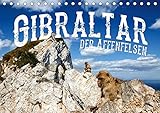 Gibraltar - der Affenfelsen (Tischkalender 2019 DIN A5 quer): Europas einzige wildlebende Affen in einer atemberaubenden Landschaft (Monatskalender, 14 Seiten )