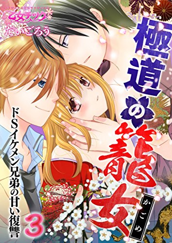 『極道の籠女～ドSイケメン兄弟の甘い復讐～』3巻