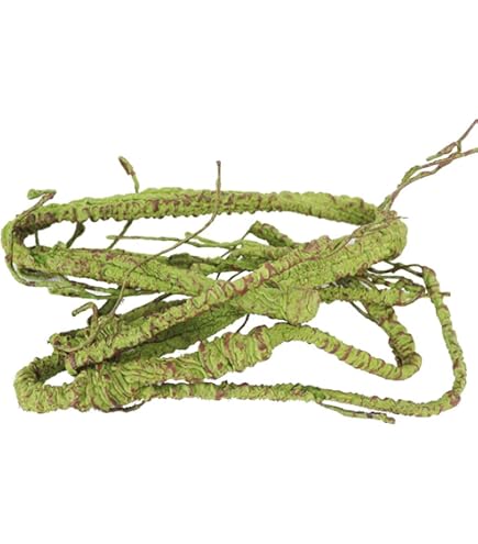 Amazon.co.jp: GEX EXOTERRA スクリーンテラリウム4590 PT2677 爬虫類