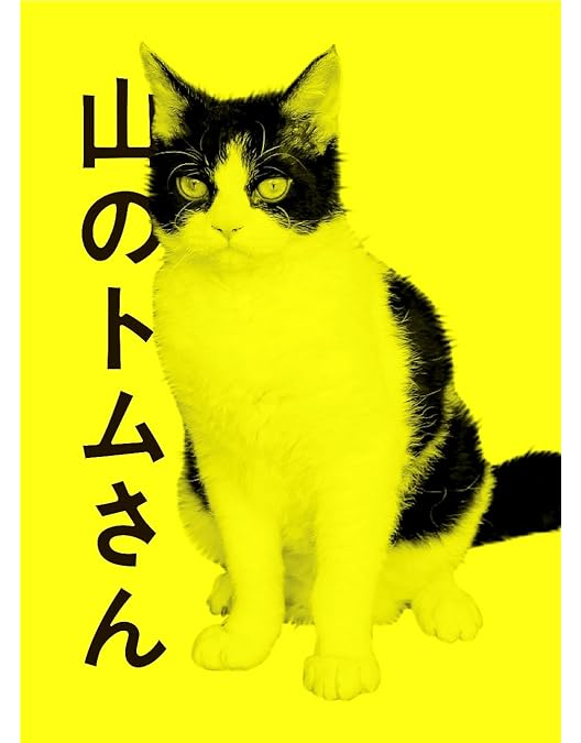 Amazon.co.jp: パンとスープとネコ日和 DVD-BOX : 小林聡美, 伽奈