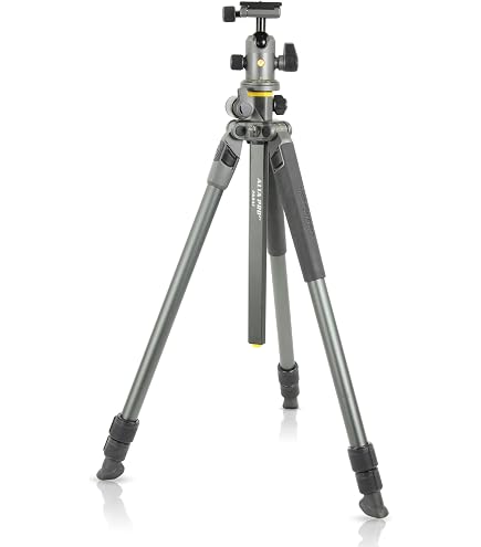Amazon.co.jp: VANGUARD Espod Cx 233Ap Tripod with Ph-23 Pan Head