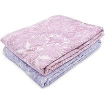 ⭐2枚セット⭐ 昭和西川 ダンケット 羽毛肌掛け布団 シングル 西川 羽毛肌掛け布団 シングル 2枚セット 羽毛布団 洗濯 洗える