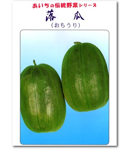 Amazon.co.jp: 中国野菜の種 長夕顔20粒 瓠瓜 夜開花 蒲瓜 瓢瓜 : DIY